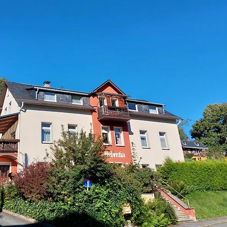 Villa Helvetia Бад-Эльстер Экстерьер фото