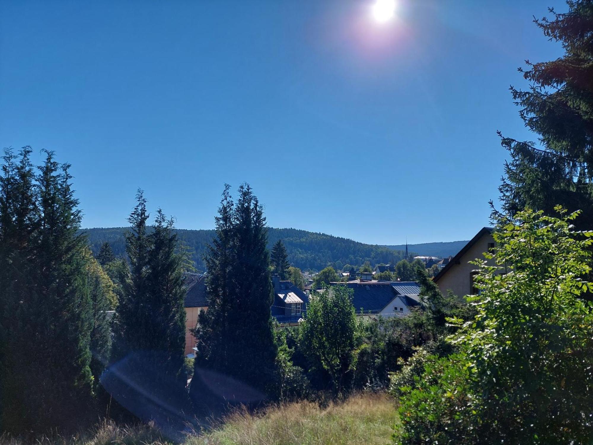 Villa Helvetia Бад-Эльстер Экстерьер фото